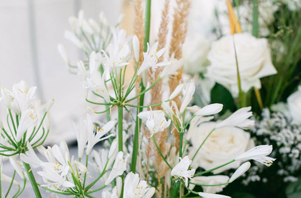 The Pantone Color of the Year 2026