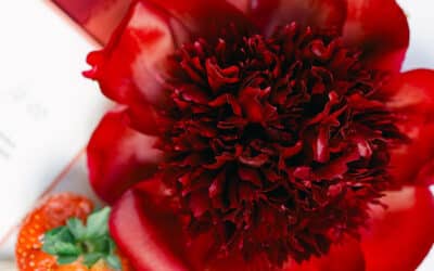 The Peony: The Ultimate Wedding Flower for Luxury Floral Design