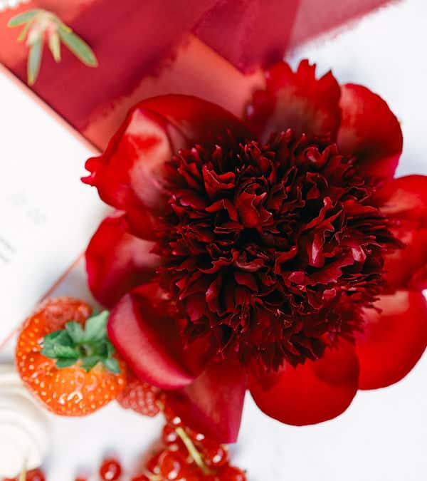 The Peony: The Ultimate Wedding Flower for Luxury Floral Design